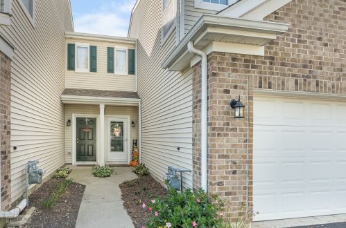 24250 Leski Ln, Plainfield, IL 60585-2782