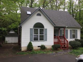 3136 Terrybluff Dr, Midlothian VA  23112-3360 exterior