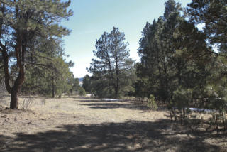 18956 Smokey Pine Rd, Amo, CO 80831-8700