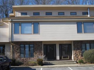 415 Iroquois Ct, Lafayette, NJ 07848-4000