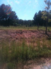 1121 Cobblestone Dr, Bogart, GA 30622-3212