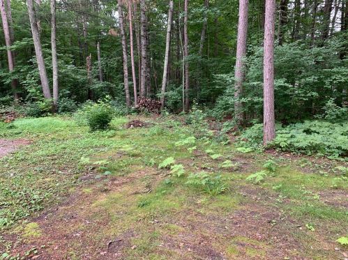 47138 187th Ave, Jevne, MN 55760-4454
