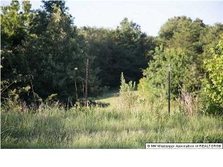 2140 Austin Rd, Walls, MS 38651-8961