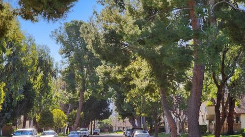 1785 Willow Woods Dr, Anaheim CA  92807-1403 exterior