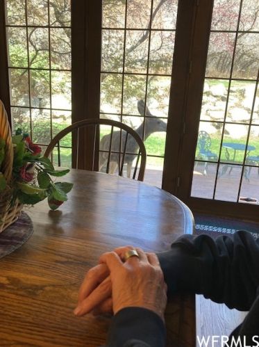 11925 Brookglen Dr, Sandy UT 84092-7149 exterior