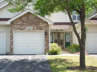 1307 Cranbrook Ct, Schaumburg IL  60193-4432 exterior