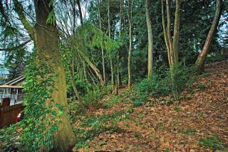 3410 8th St, Tacoma, WA 98406-5414