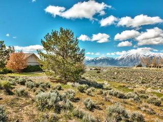 1522 Saltbush Ct, Gardnerville, NV 89410-6671
