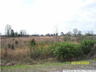 1 Countyline Tate Rd, Evansville, MS 38618-7419