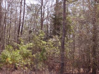 17 Marshbrook Ct, Horrel Hill, SC 29061-9669
