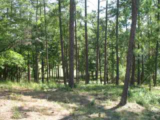 1020 Whatleys Mill Ln, Reynolds Plantation, GA 30642-4848