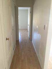 20 Winterbranch, Irvine CA  92604-4638 exterior