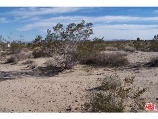 55425 Pleasant Vw, Yucca Valley, CA 92285-9574