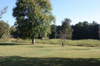 180 Hallmark Rd, Franklin, GA 30217-3687