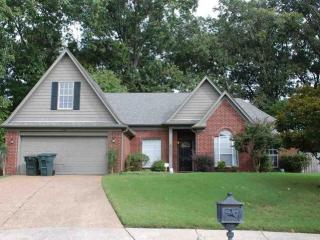 3336 Demetra Cv, Memphis, TN 38133-2629