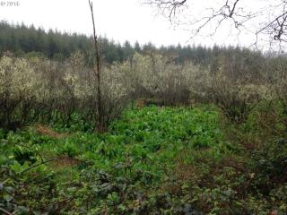 58323 Garden Valley Rd, Coquille, OR 97423-9636