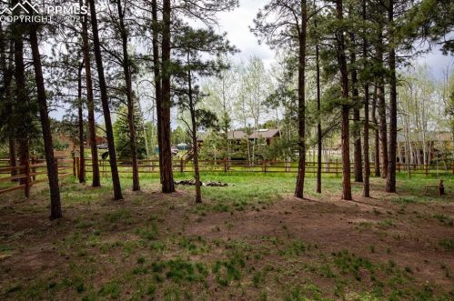 1174 Ptarmigan Dr, Woodland Park CO 80863-8005 exterior