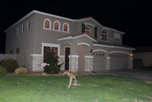 9705 Heatherhearst Dr, Sharon, CA 93610-8024