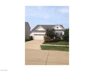 8289 Baythorne Dr, Concord Township, OH 44060-5977