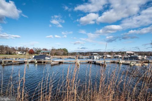 466 Windwood Coves Blvd, Mineral, VA 23117-4854