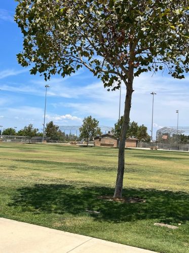 20100 Dayton St, Riverside CA  92508-6301 exterior