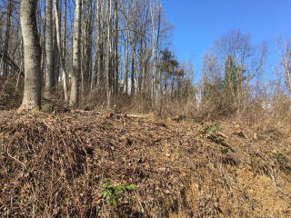 111 Patton Dr, Beckley, WV 25801-4347