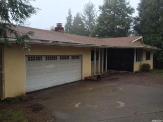9217 Mosquito Rd, Swansboro Country, CA 95667-3632
