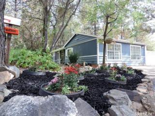 1826 Point View Dr, Swansboro Country, CA 95667-5024