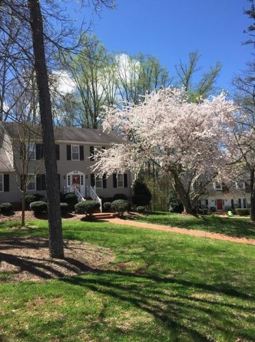 3720 Indian Springs Rd, Gainesville, GA 30506-3071