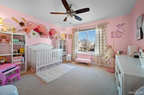 791 Delacourte Ave, Lemont IL  60490-5006 exterior