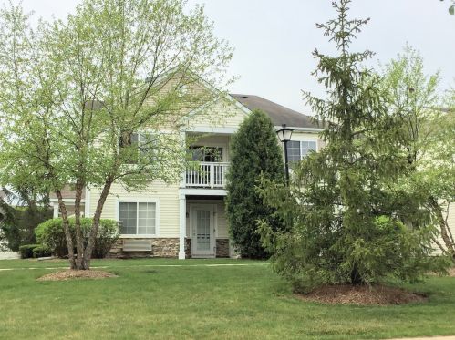 525 Silverstone Dr, Carpentersville IL  60110-1180 exterior