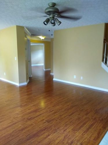 152 Holly Mill Village Dr, Holly Springs, GA 30114-7169