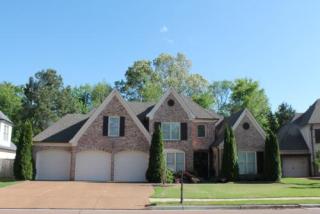 8767 River Pine Dr, Cordova, TN 38016-7189