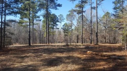 1449 White Rock Rd, Lincolnton, GA 30817-5346