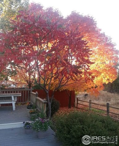 4955 C St, Greeley CO 80631-9574 exterior