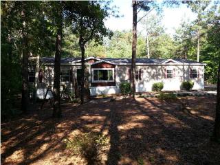 161 Willow Brook Way, Cordesville, SC 29434-9548