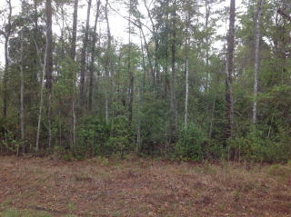 125 Hardee Field Rd, Waverly, GA 31565-2399