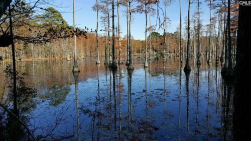 898 Polson Rd, Red Hill, SC 29020-9596