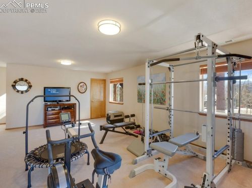 310 Panther Ct, Woodland Park CO exterior