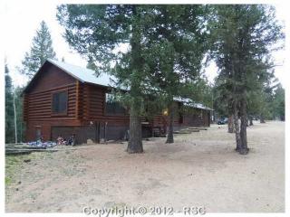 288 Broken Wheel Dr, Divide, CO 80814-8501