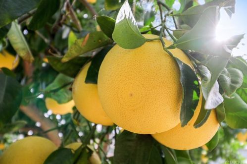 2693 Royal Ave, Simi Valley CA 93065-4768 exterior