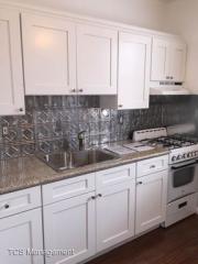 1007 11th St, Philadelphia PA  19147-3816 exterior