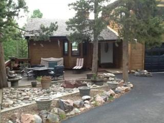 11499 Pauls Ln, Conifer, CO 80433-8228