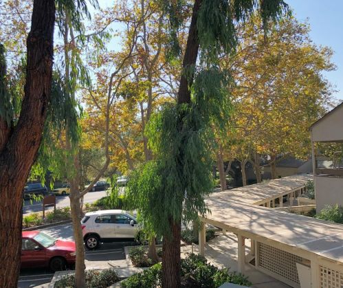 453 Alberto Way, Los Gatos CA  95032-5449 exterior
