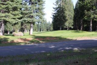 187 Slim Dr, Chester, CA 96020-9732