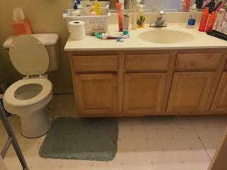 2884 Cedar Glade Dr, Naperville IL  60564-8443 exterior