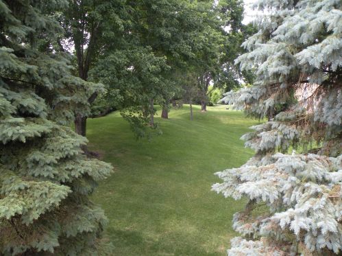 12346 Drake St, Minneapolis, MN 55448-2023