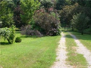 7350 Snow Mangrum Rd, Fairview, TN 37062-8924