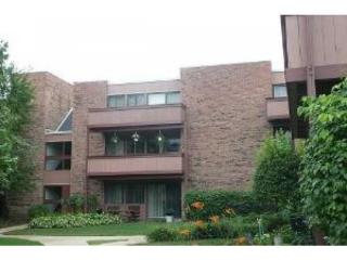 1810 Hemlock Pl, Schaumburg IL  60173-4207 exterior