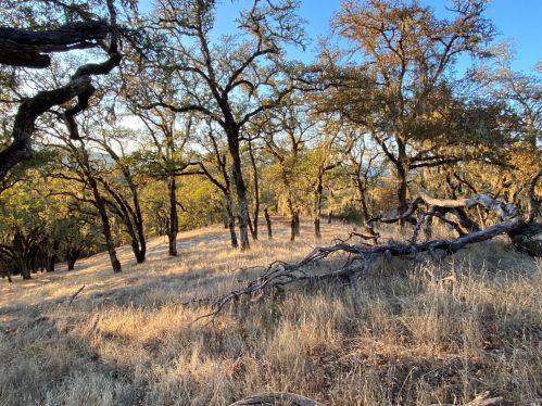 2001 Vichy Springs Rd, Ukiah CA 95482-4135 exterior